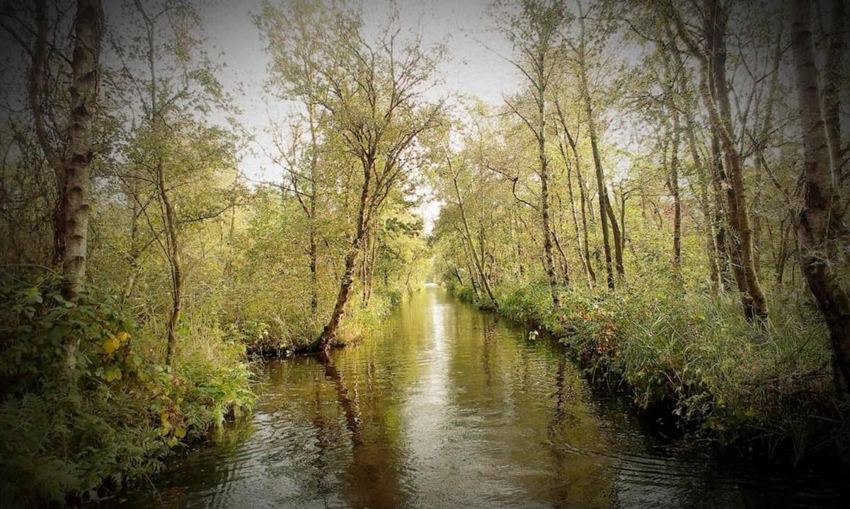 Natuur Lodge Blesdijke Екстер'єр фото